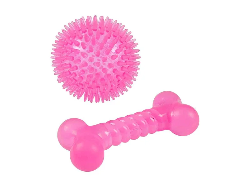 Lot de 2 Jouets pour Chien "Balle & Os" 13cm Rose