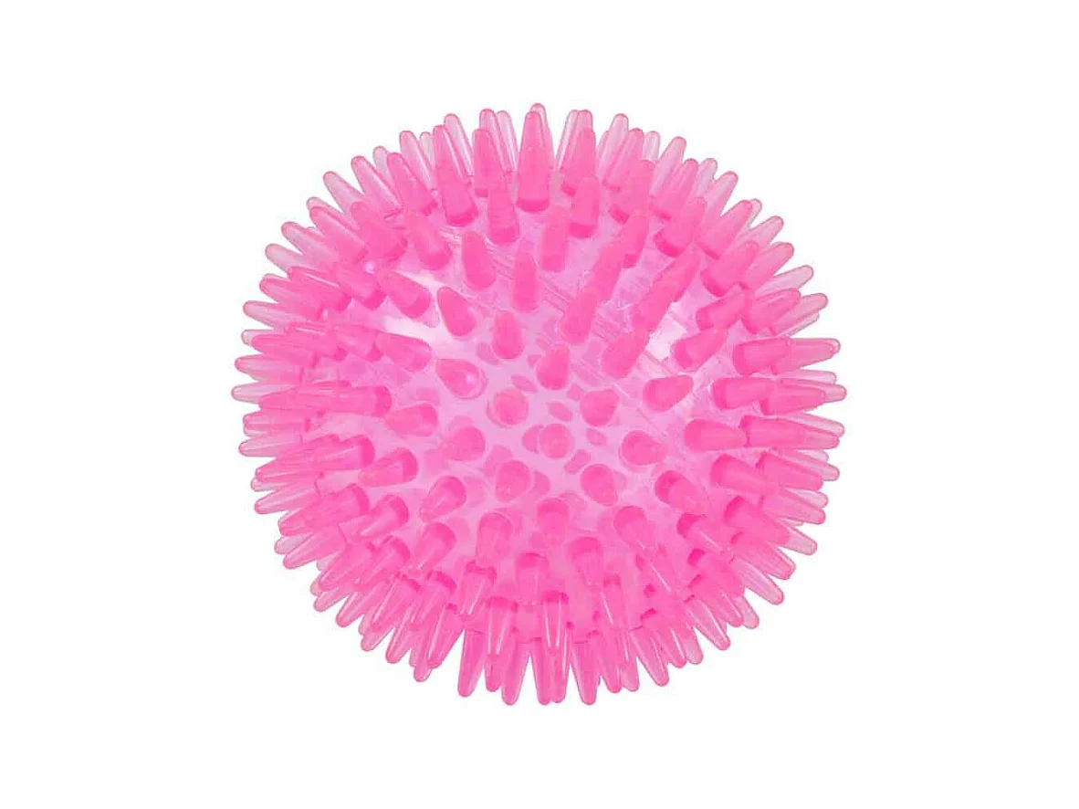 Lot de 2 Jouets pour Chien "Balle & Os" 13cm Rose