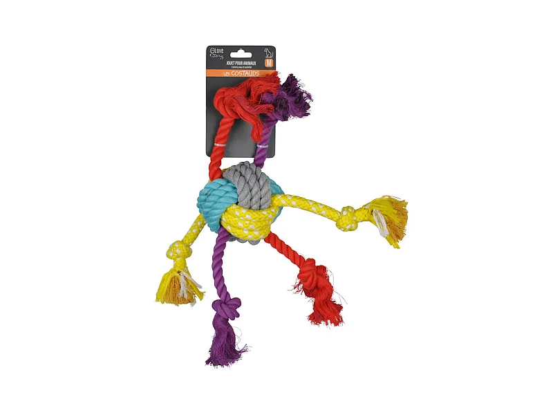 Jouet pour Chien "Corde & 6 Nœuds" 42cm Multicolore