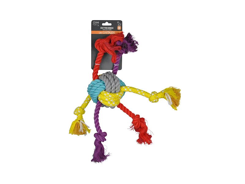 Jouet pour Chien "Corde & 6 Nœuds" 42cm Multicolore