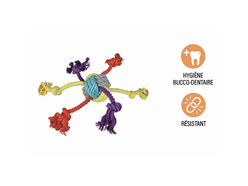 Jouet pour Chien "Corde & 6 Nœuds" 42cm Multicolore