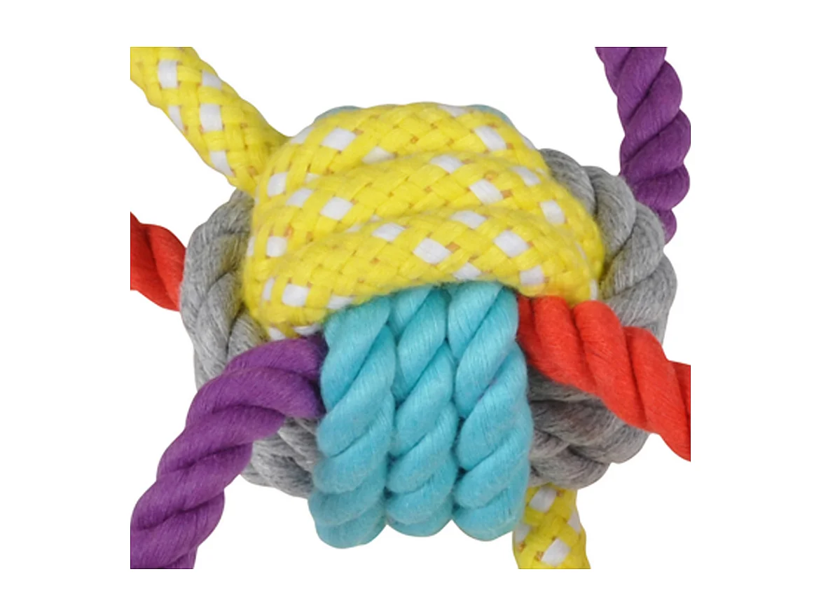 Jouet pour Chien "Corde & 6 Nœuds" 42cm Multicolore