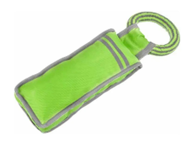 Jouet pour Chien "Oxford Fitness" 32cm Vert