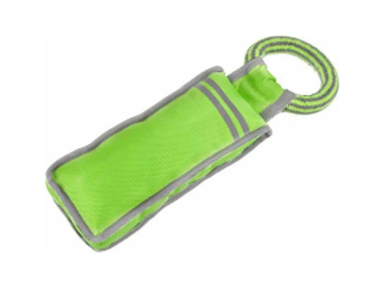 Jouet pour Chien "Oxford Fitness" 32cm Vert