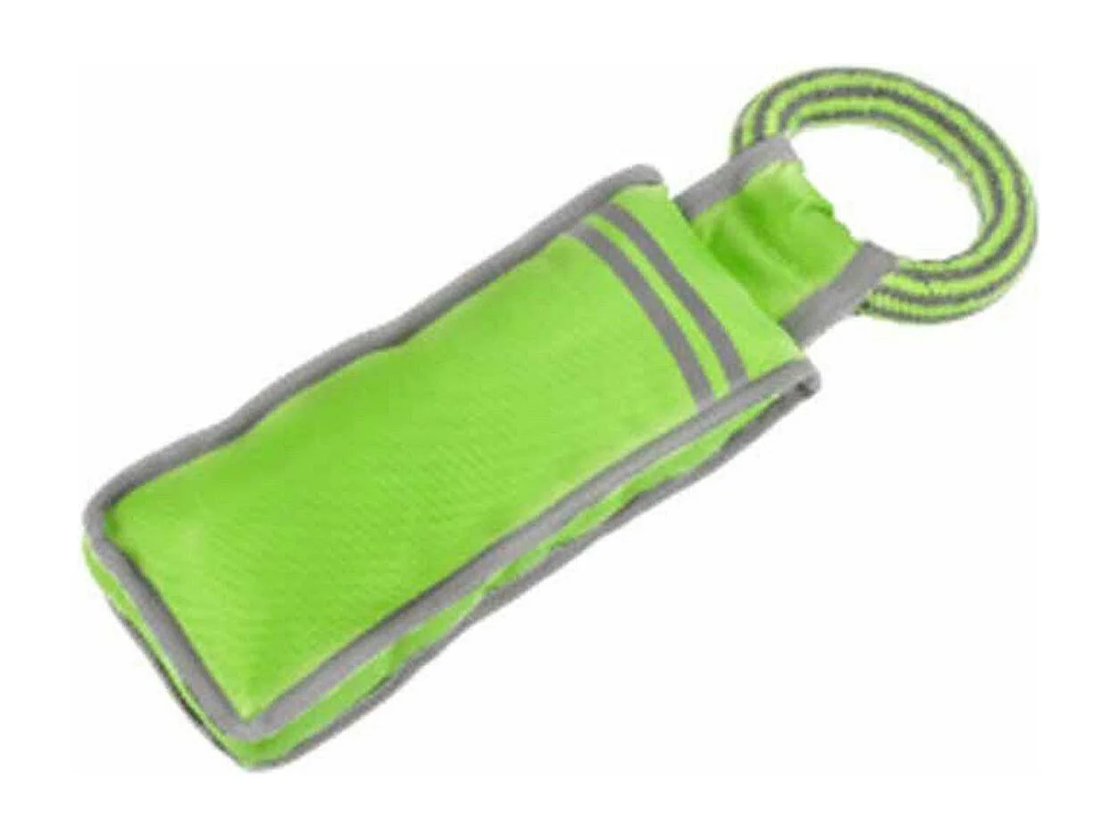 Jouet pour Chien "Oxford Fitness" 32cm Vert