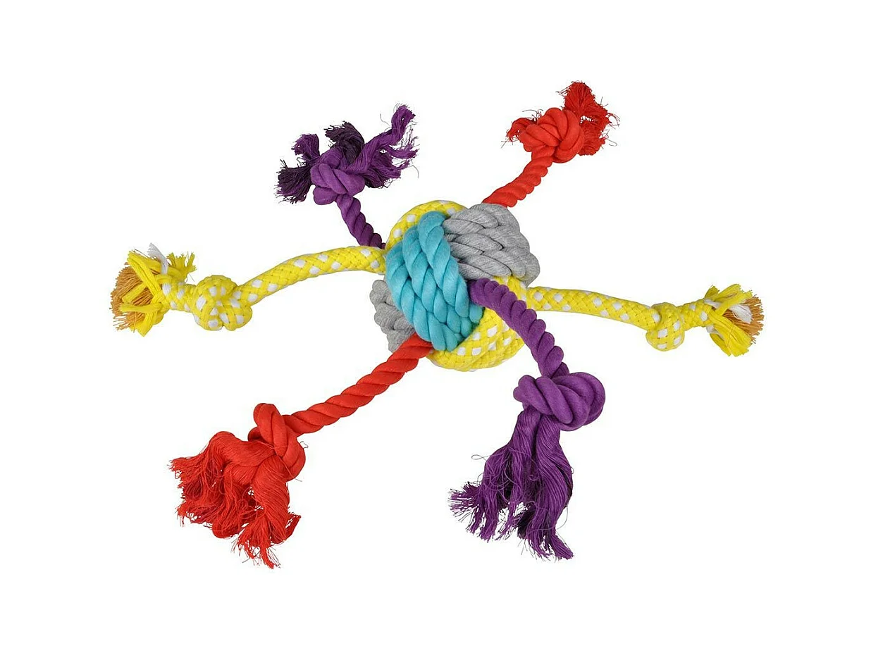 Jouet pour Chien "Corde & 6 Nœuds" 30cm Multicolore