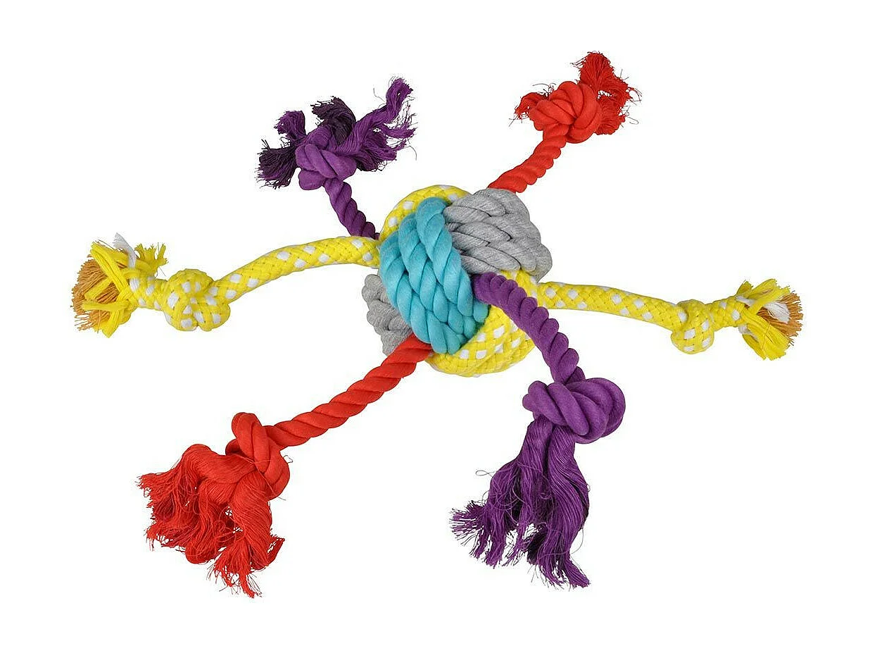 Jouet pour Chien "Corde & 6 Nœuds" 30cm Multicolore