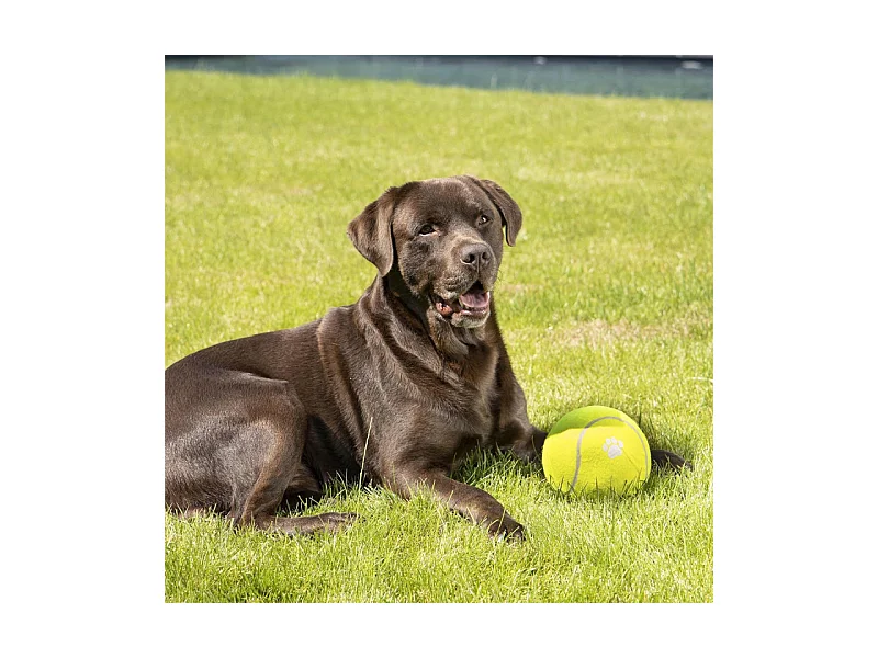 Jouet pour Chien "Balle de Tennis" 15cm Jaune