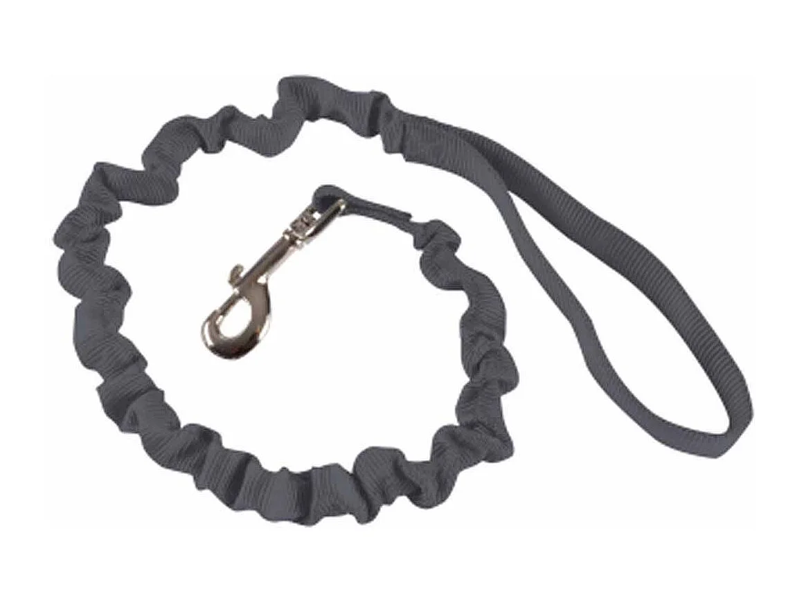 Laisse Chien Anti à Coups "Essentiel" 120cm Anthracite