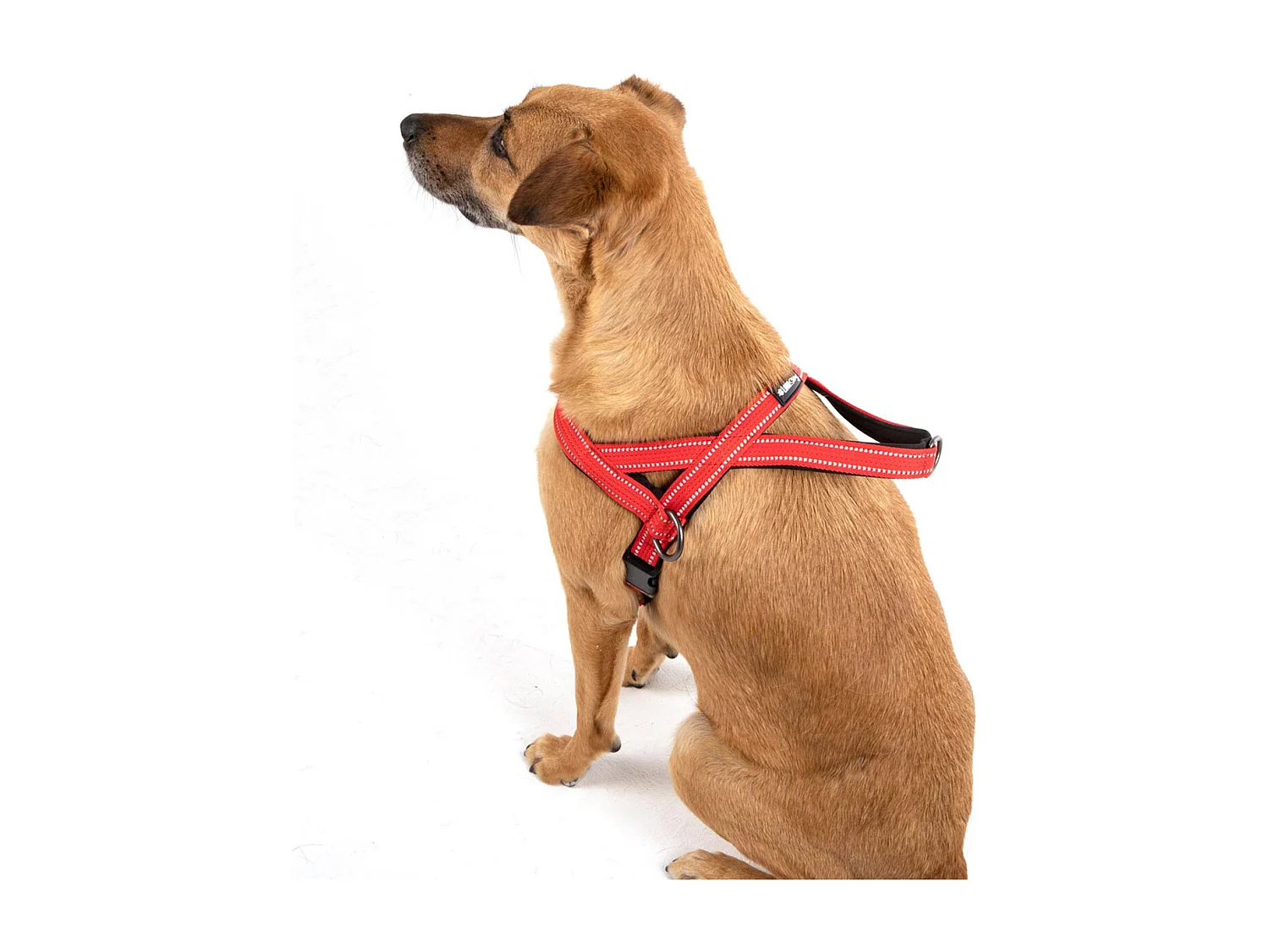 Harnais Norvégien "Expert Réglable" 75cm Rouge