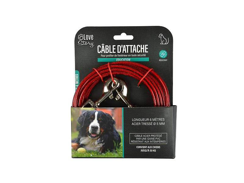 Laisse d'Attache pour Chien "Ultra Résistante" 6m Rouge