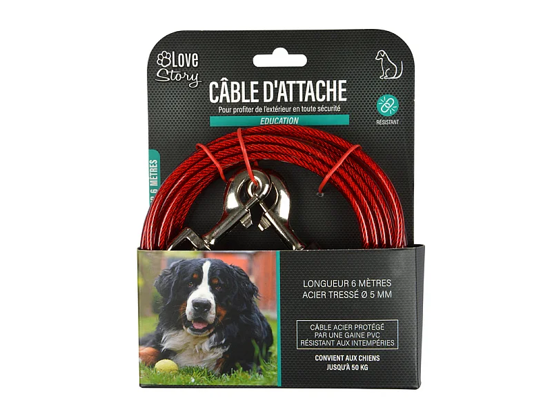 Laisse d'Attache pour Chien "Ultra Résistante" 6m Rouge