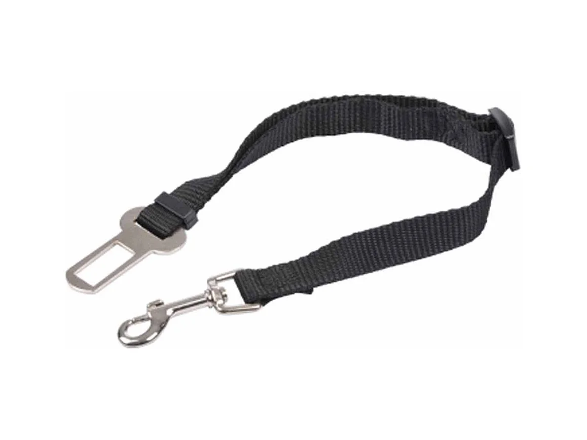 Laisse de Sécurité pour Chien "Voiture" 50cm Noir