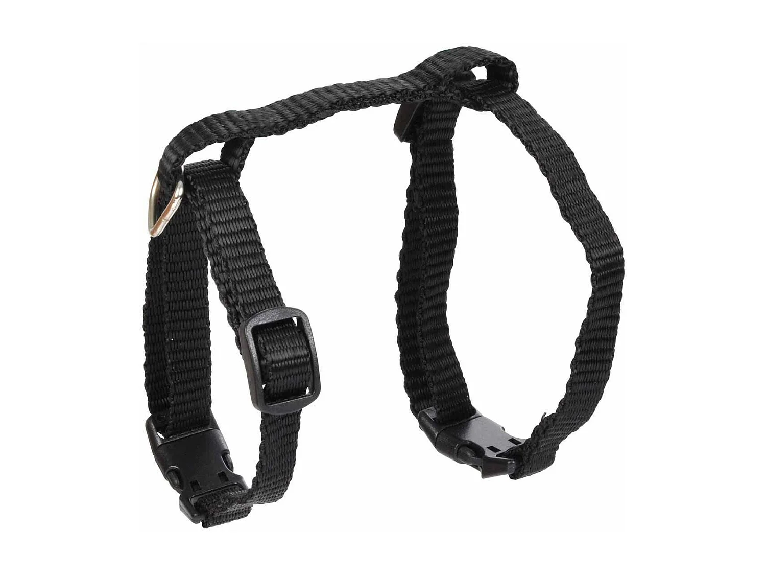 Harnais & Laisse pour Chat "Kit" 120cm Noir