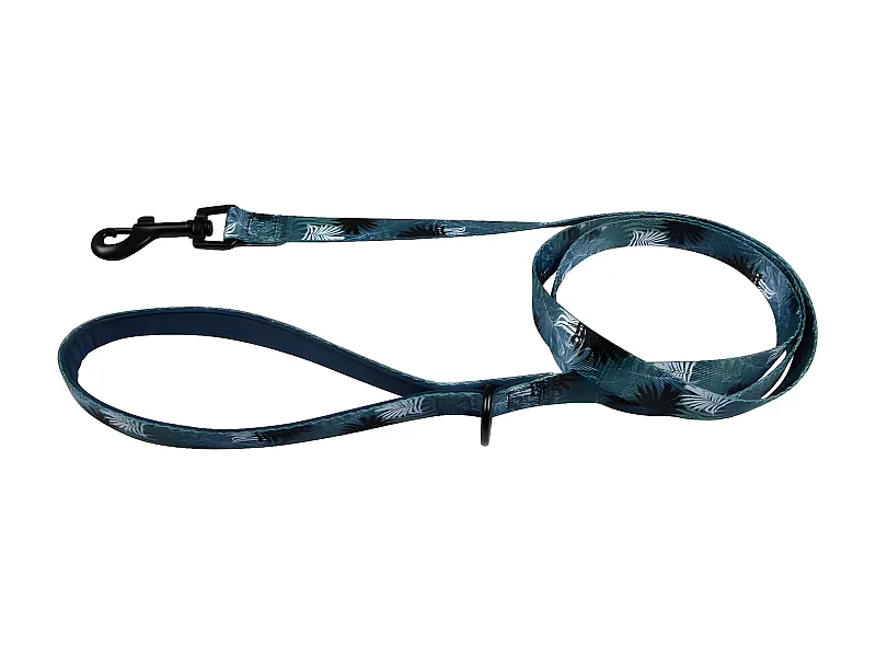 Laisse pour Chien avec Poignée "Eden" 150cm Bleu