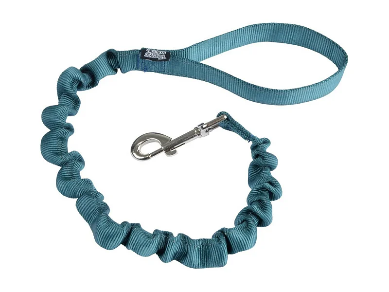 Laisse Anti à Coups pour Chien "Essentiel" 120cm Émeraude