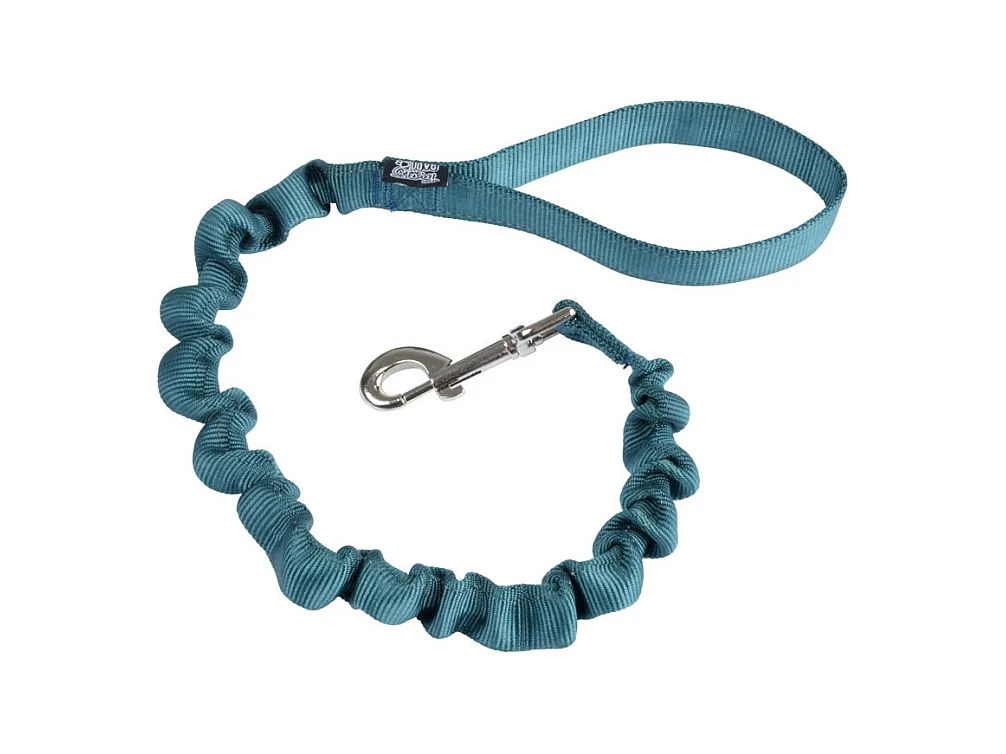 Laisse Anti à Coups pour Chien "Essentiel" 120cm Émeraude