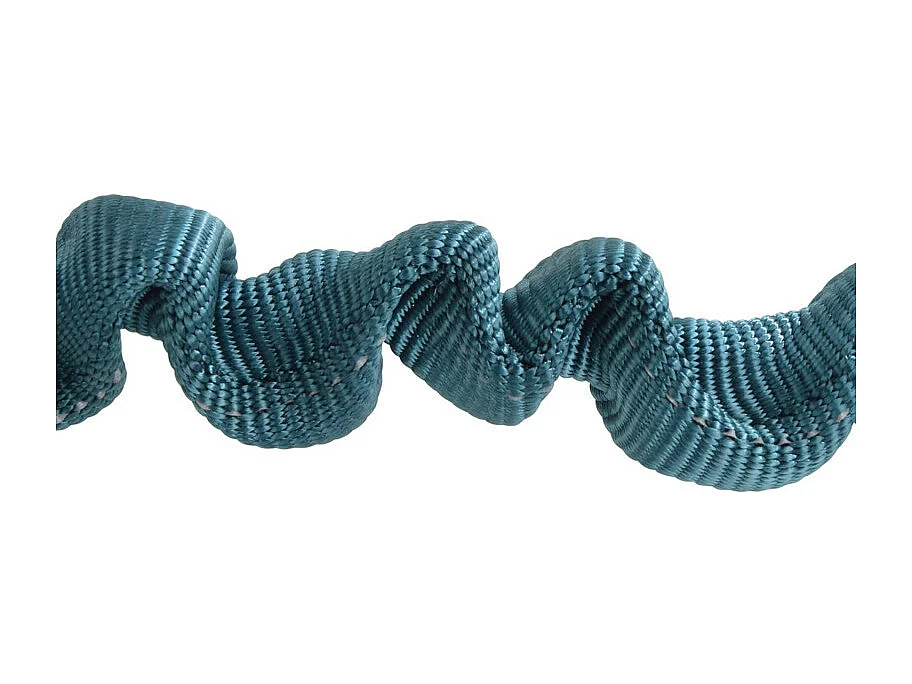 Laisse Chien Anti à Coups "Essentiel" 120cm Émeraude