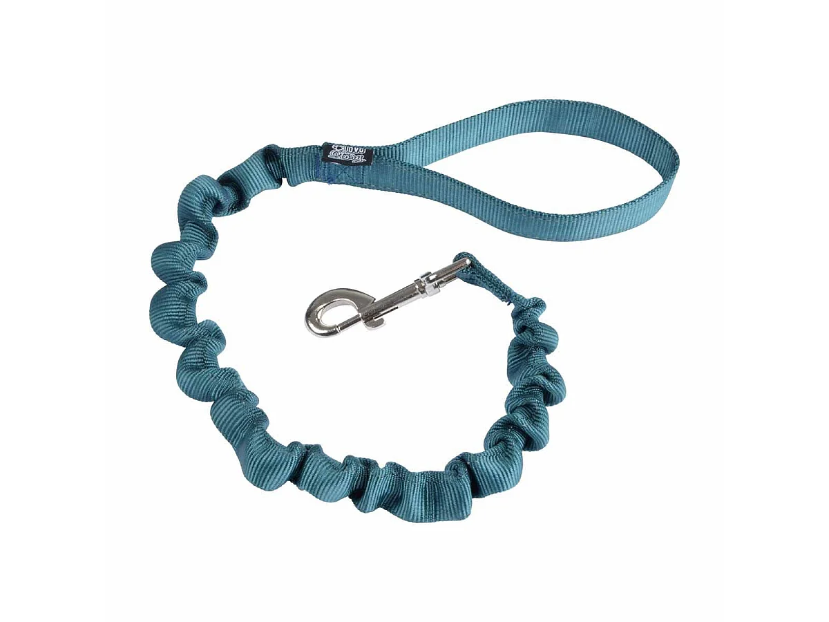 Laisse Chien Anti à Coups "Essentiel" 120cm Émeraude