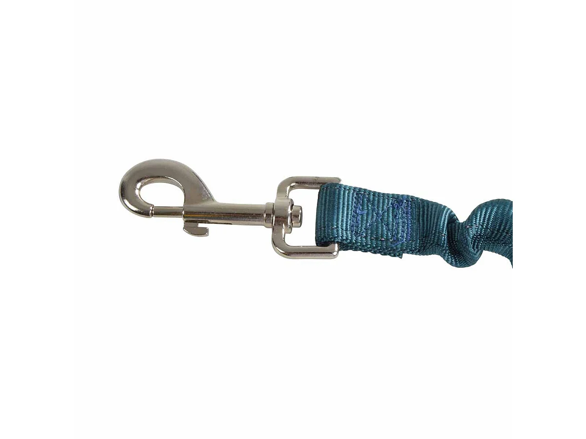Laisse Chien Anti à Coups "Essentiel" 120cm Émeraude