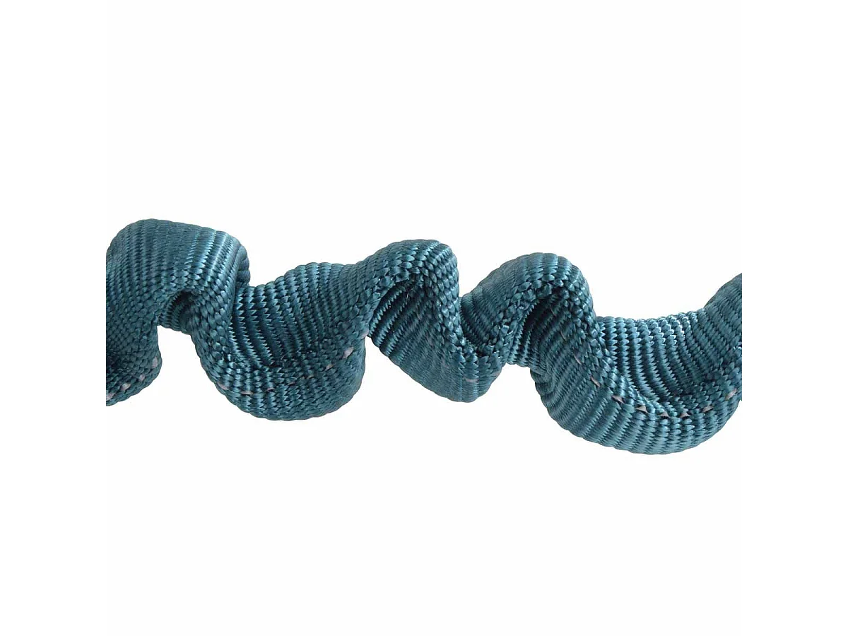 Laisse Chien Anti à Coups "Essentiel" 120cm Émeraude