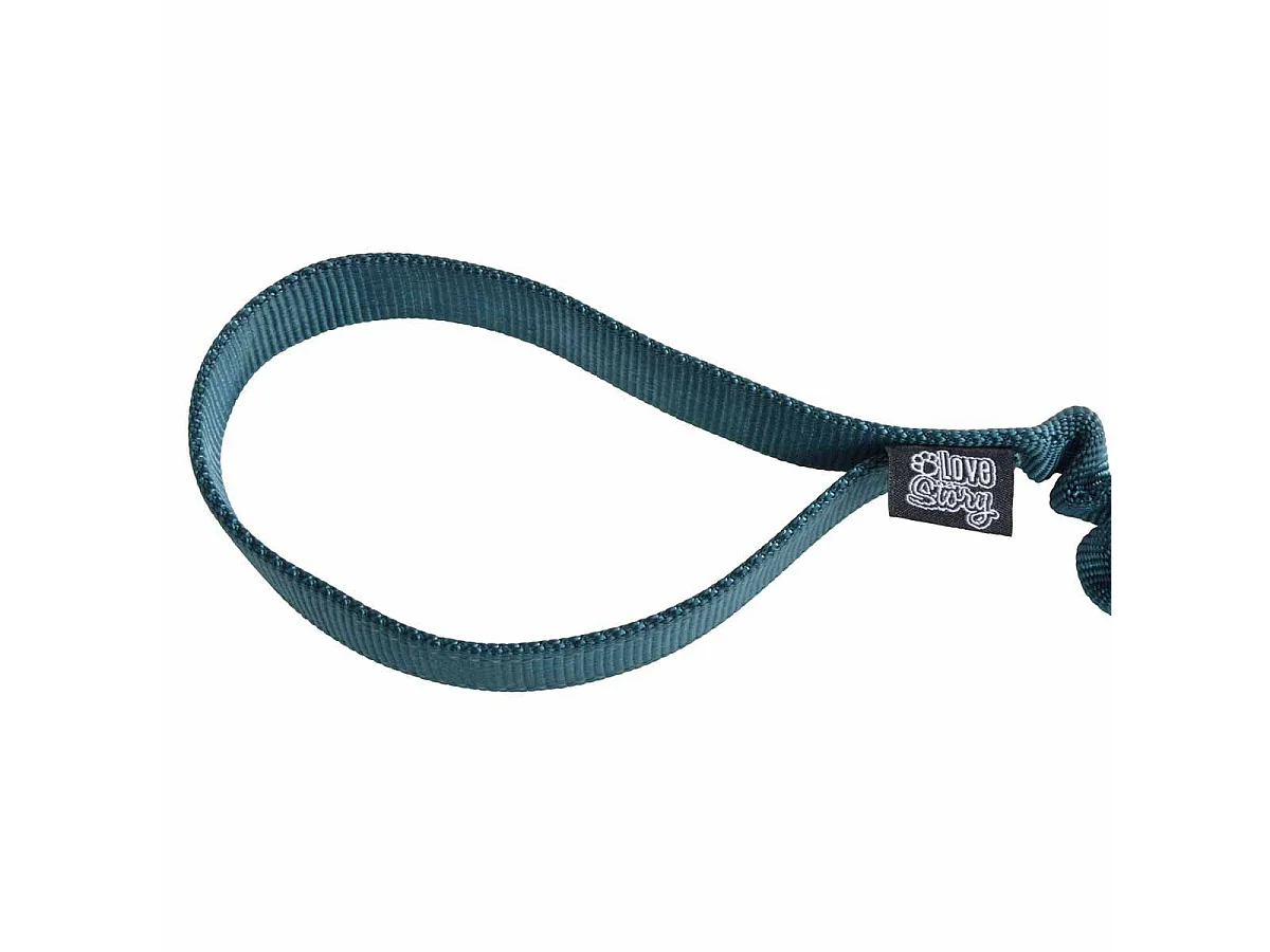 Laisse Chien Anti à Coups "Essentiel" 120cm Émeraude