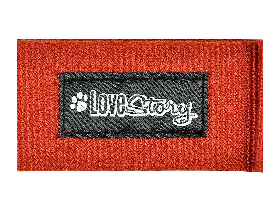 Laisse pour Chien "Bambou" 120cm Terracotta