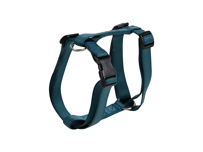 Harnais pour Chien "Essentiel" 50cm Émeraude