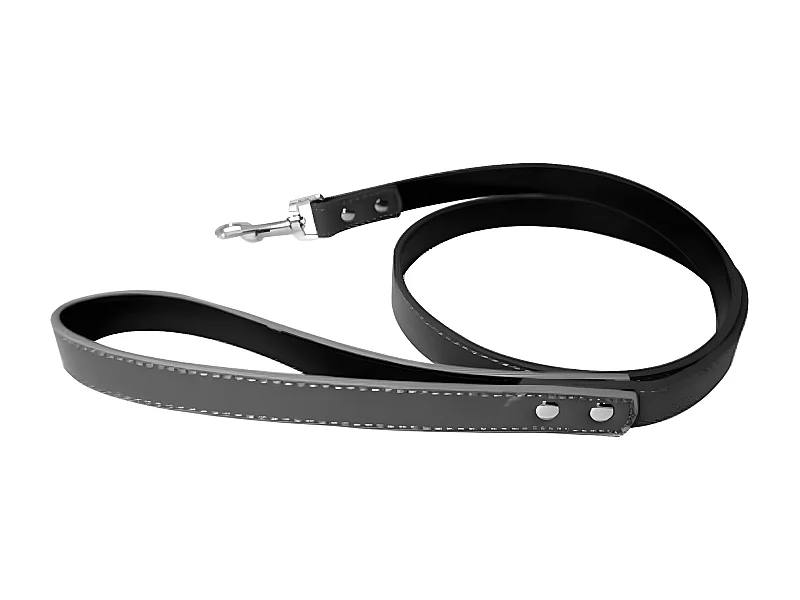 Laisse pour Chien "Élégante" 120cm Noir