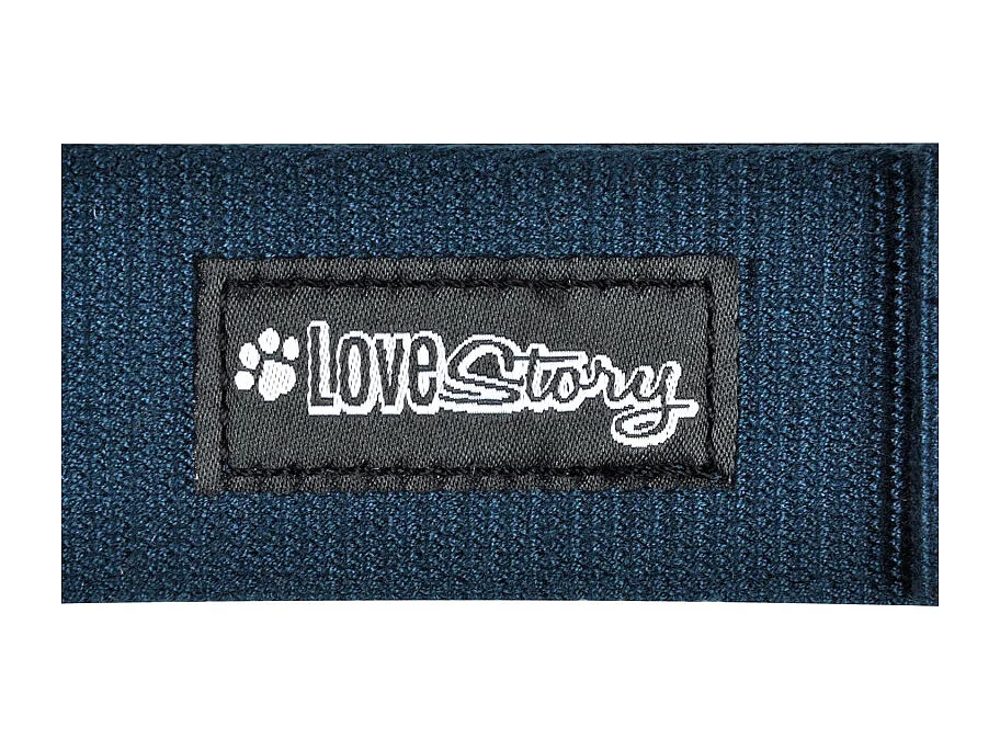 Laisse pour Chien "Bambou" 120cm Émeraude