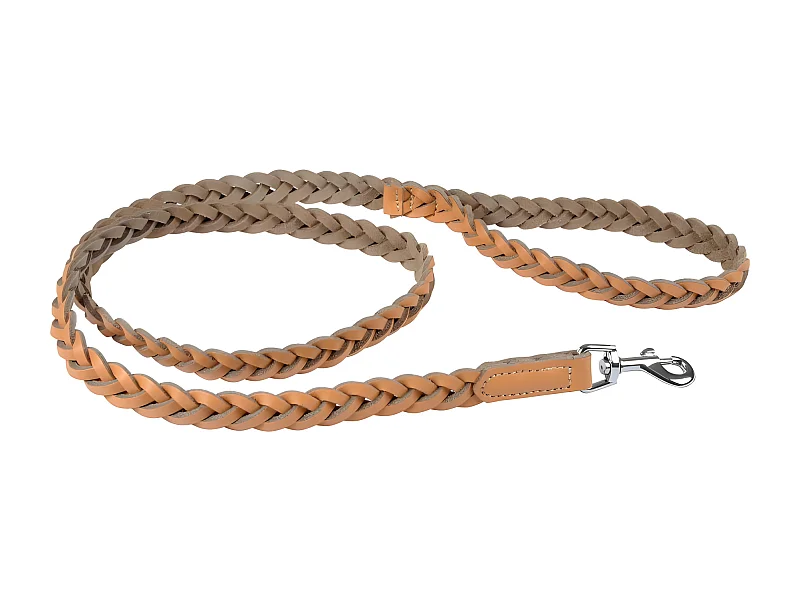 Laisse pour Chien en Cuir "Tressé" 120cm Naturel