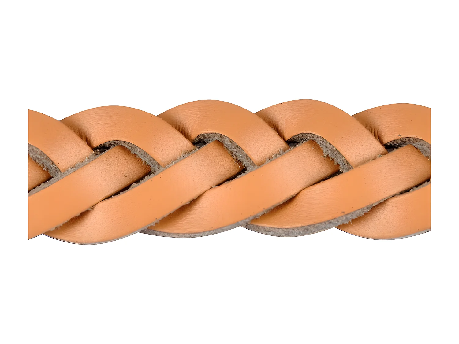 Laisse pour Chien en Cuir "Tressé" 120cm Naturel