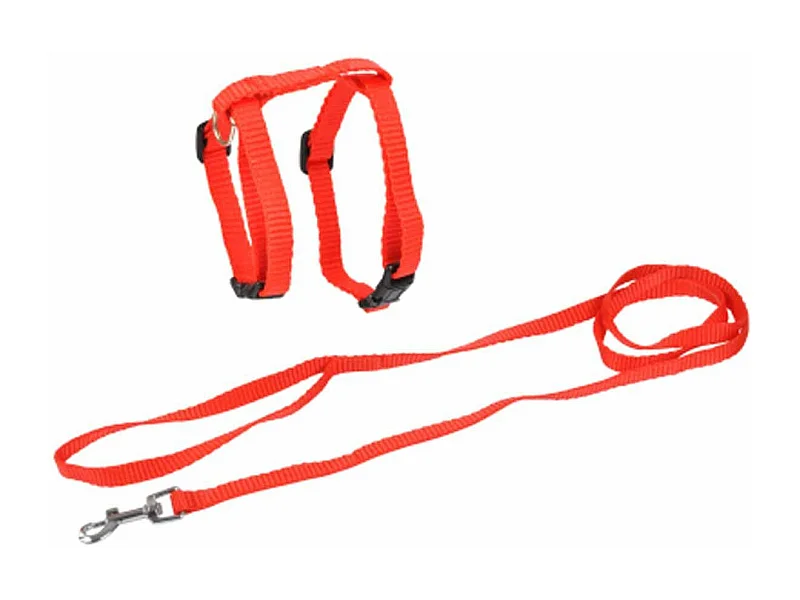 Harnais & Laisse pour Chat "Kit" 120cm Rouge