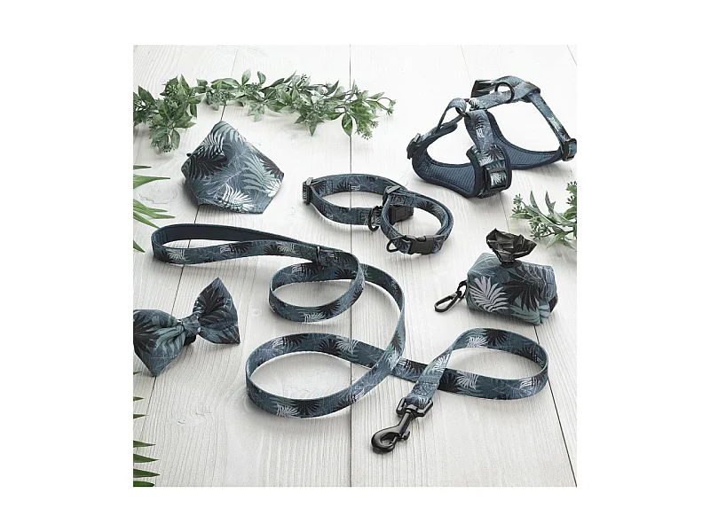 Harnais pour Chien Réglable "Eden" 61cm Bleu