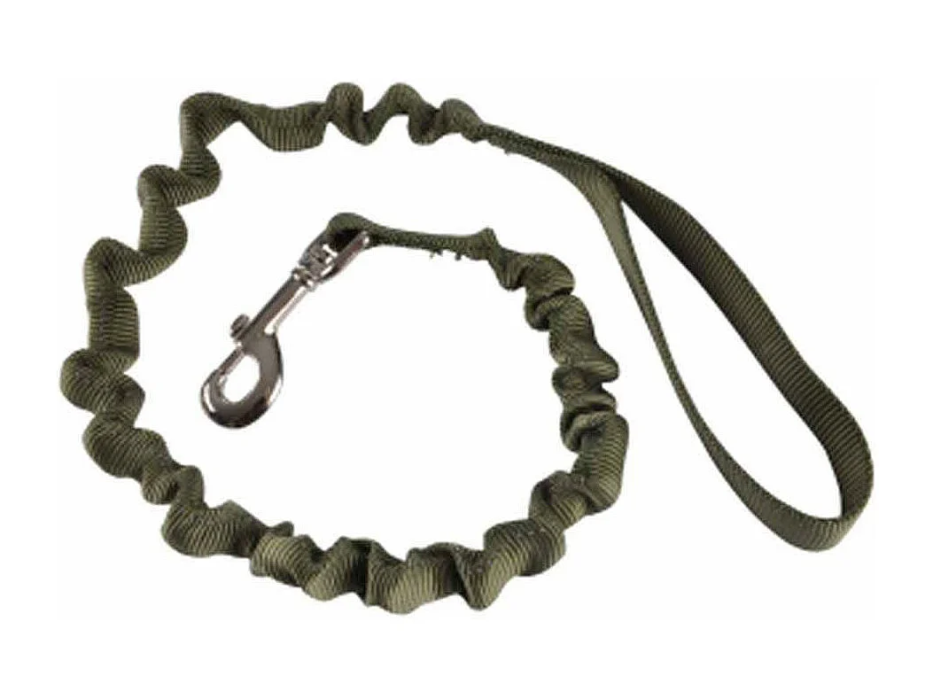 Laisse Chien Anti à Coups "Essentiel" 120cm Kaki