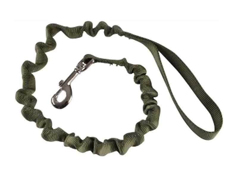 Laisse Chien Anti à Coups "Essentiel" 120cm Kaki