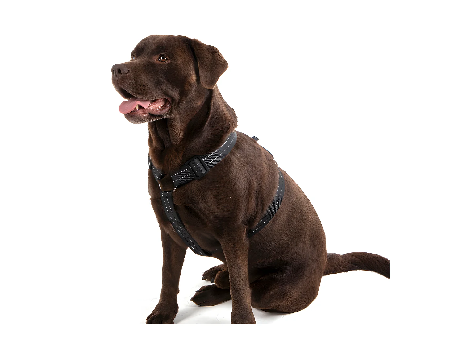 Harnais pour Chien "Coutures Réfléchissantes" 90cm Noir