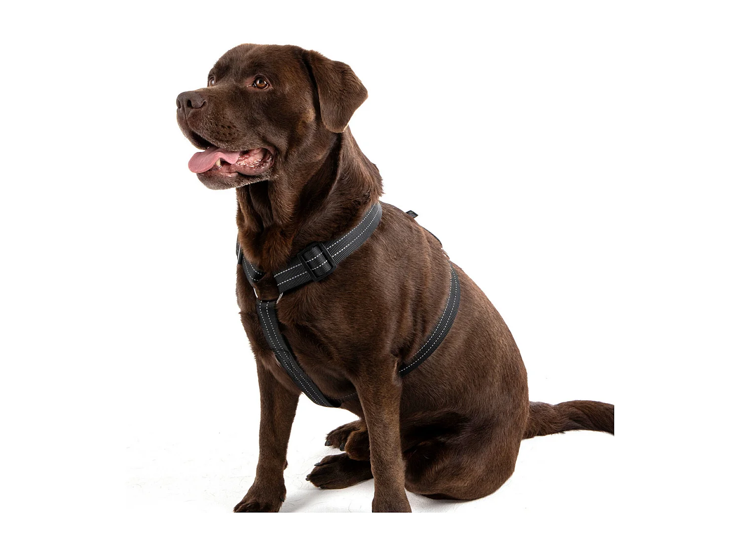 Harnais pour Chien "Coutures Réfléchissantes" 90cm Noir