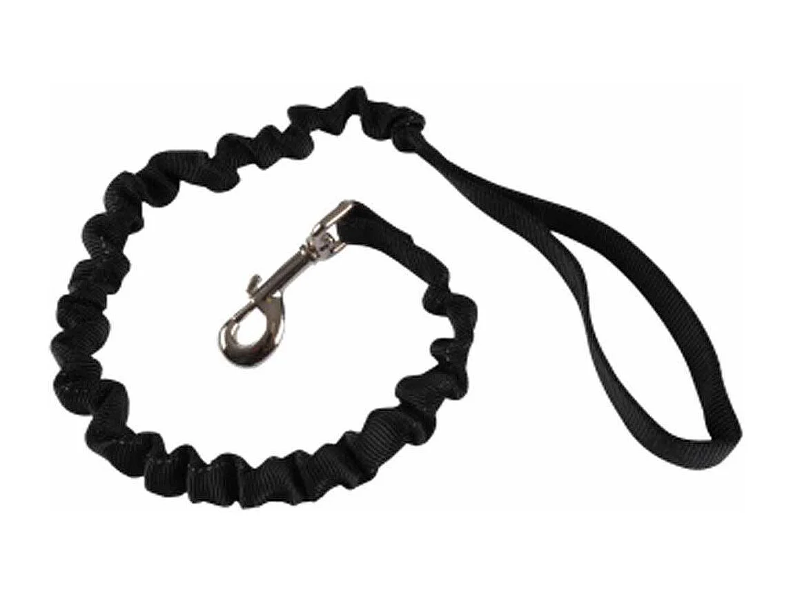 Laisse Chien Anti à Coups "Essentiel" 120cm Noir