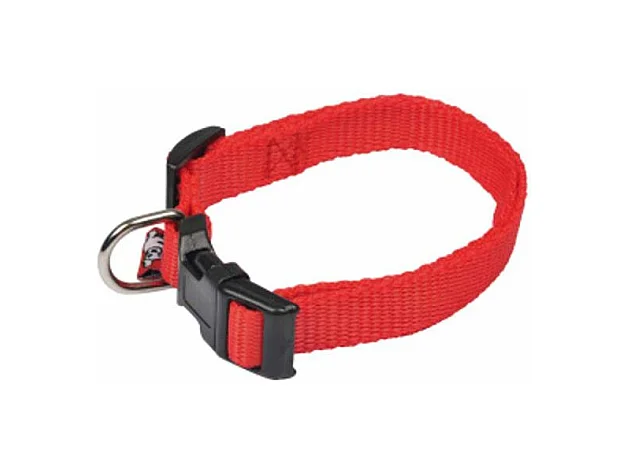 Collier Réglable pour Chien "Essentiel" 45cm Rouge