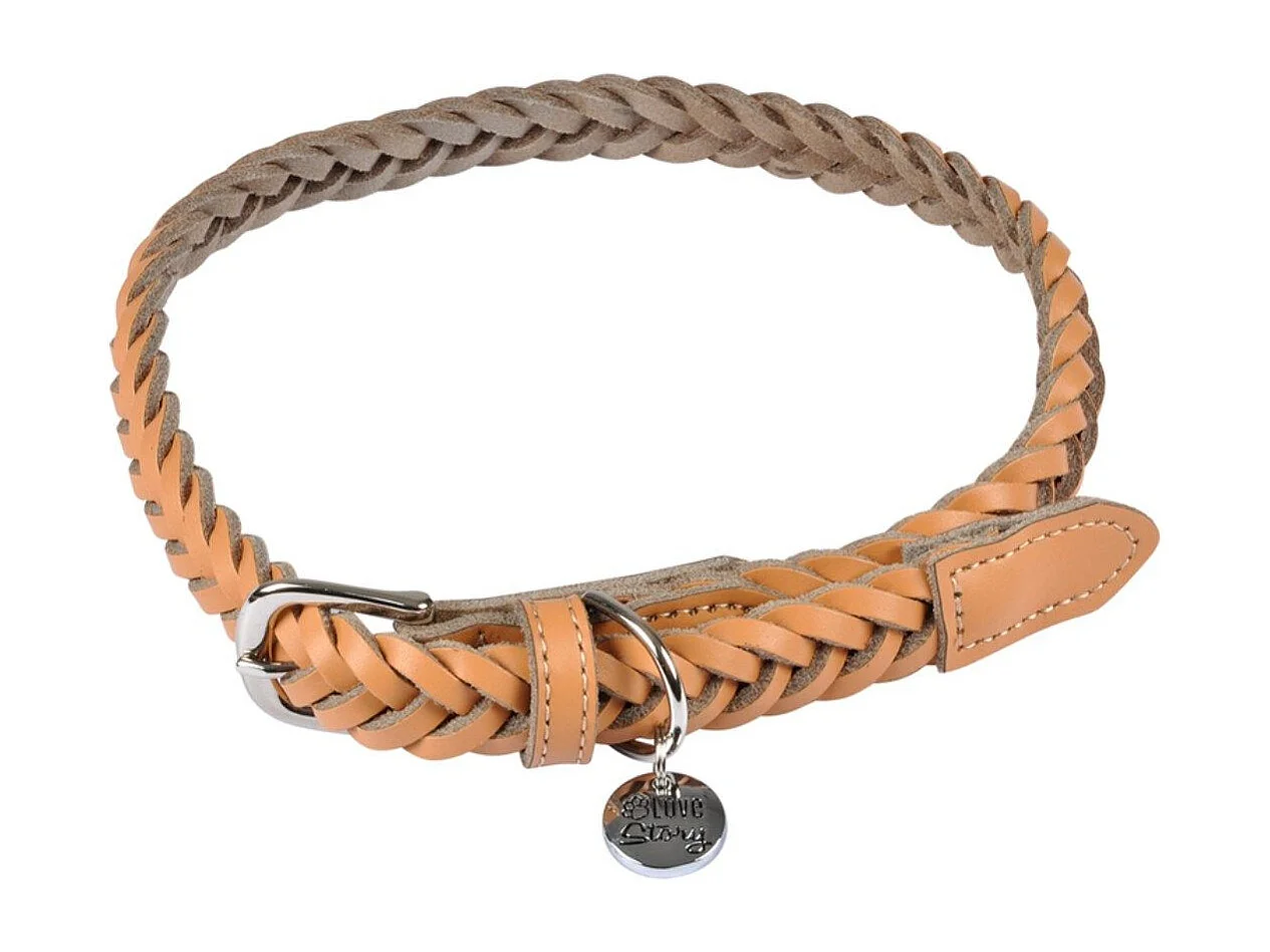 Collier pour Chien Réglable "Tressé" 45-65cm Naturel