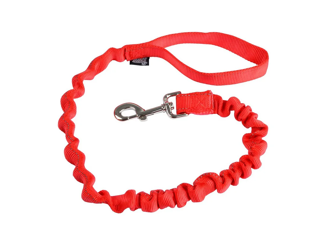 Laisse Anti à Coups pour Chien "Essentiel" 120cm Rouge