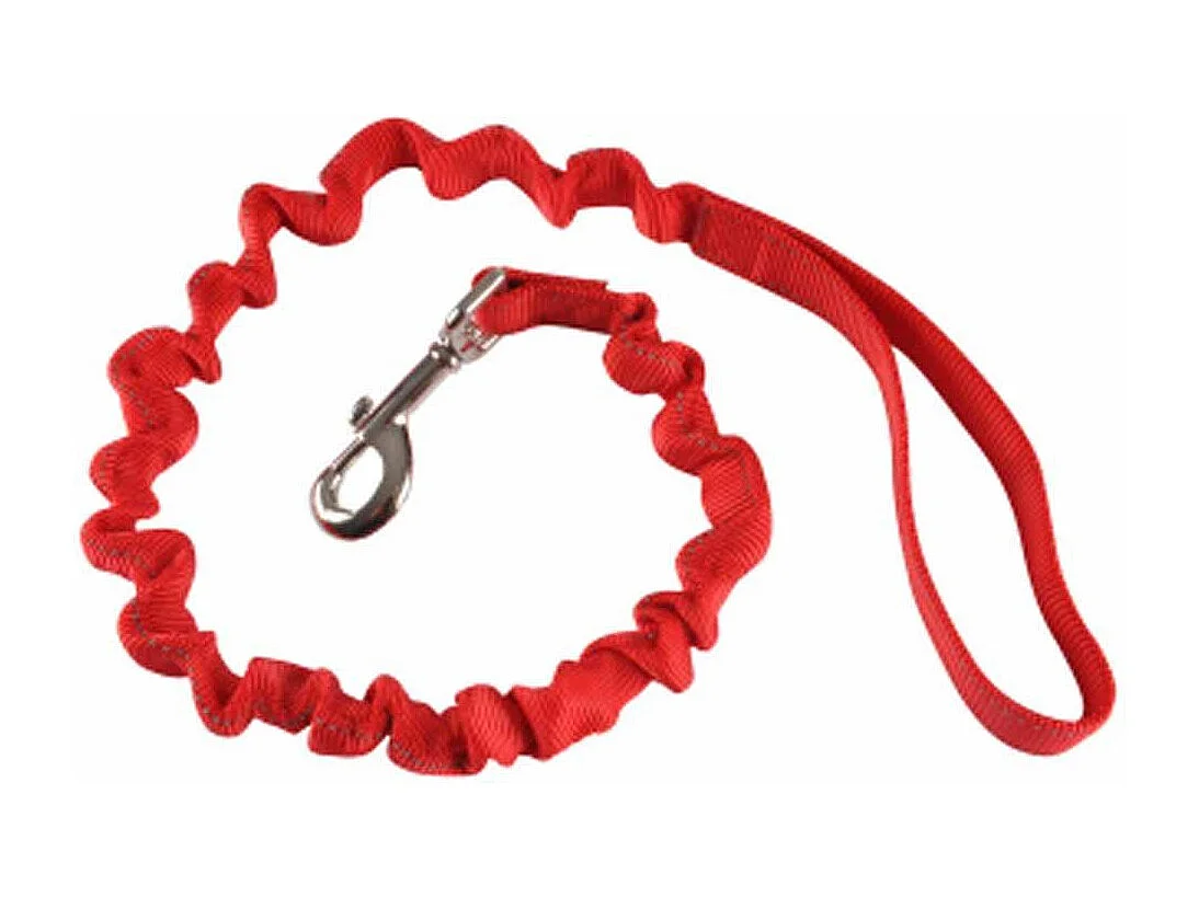 Laisse Chien Anti à Coups "Essentiel" 120cm Rouge