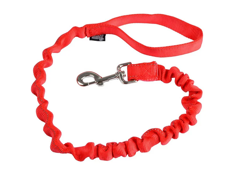 Laisse Chien Anti à Coups "Essentiel" 120cm Rouge