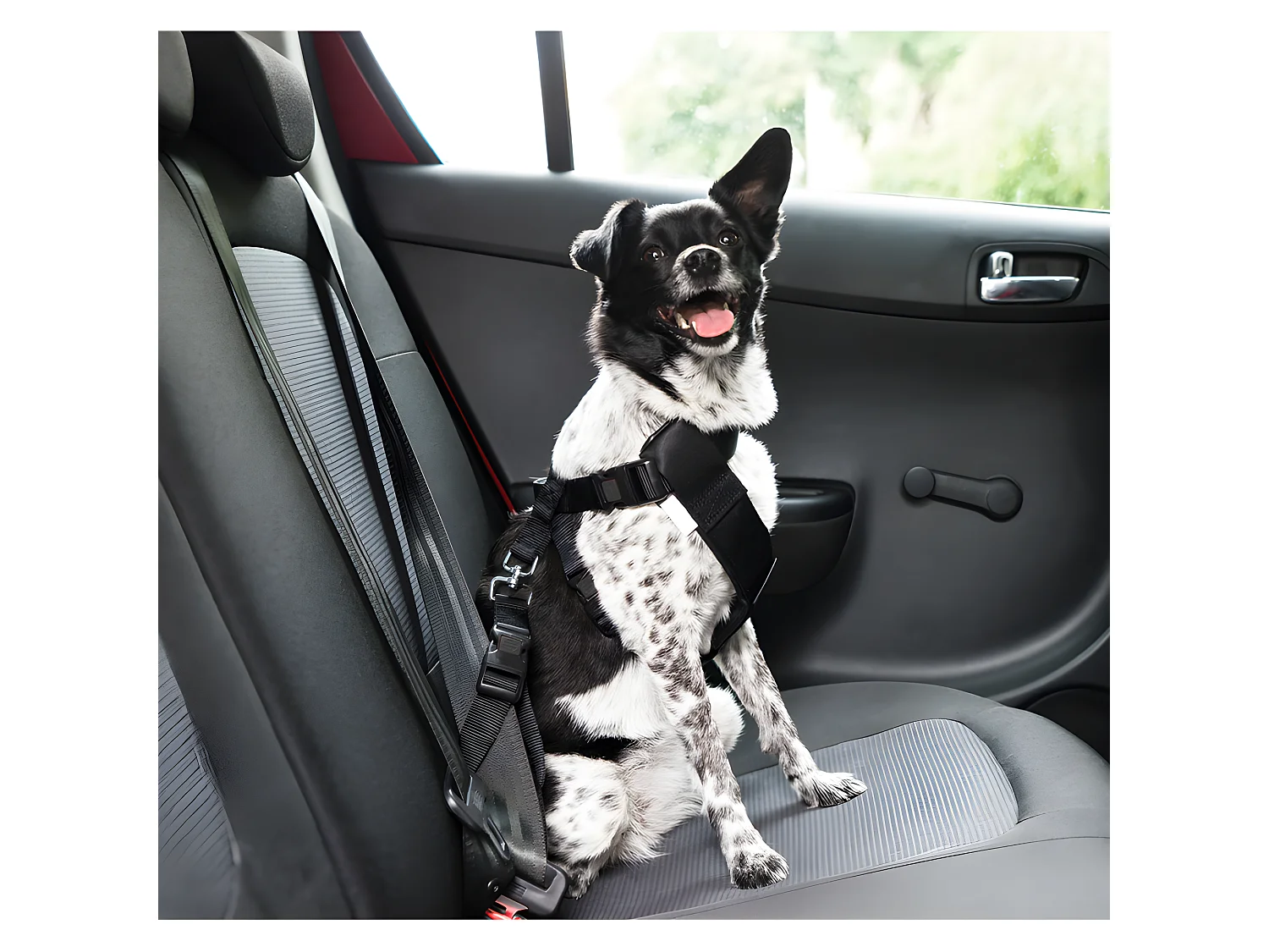 Harnais de Sécurité pour Animaux "Voiture" 70cm Noir