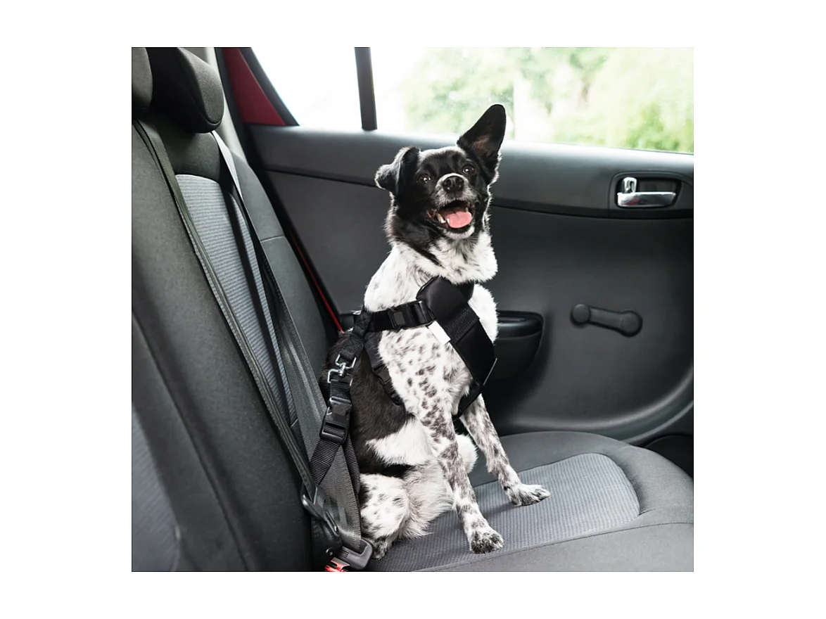 Harnais de Sécurité pour Animaux "Voiture" 70cm Noir