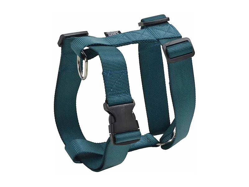 Harnais Réglable Chien "Essentiel" 70-90cm Émeraude