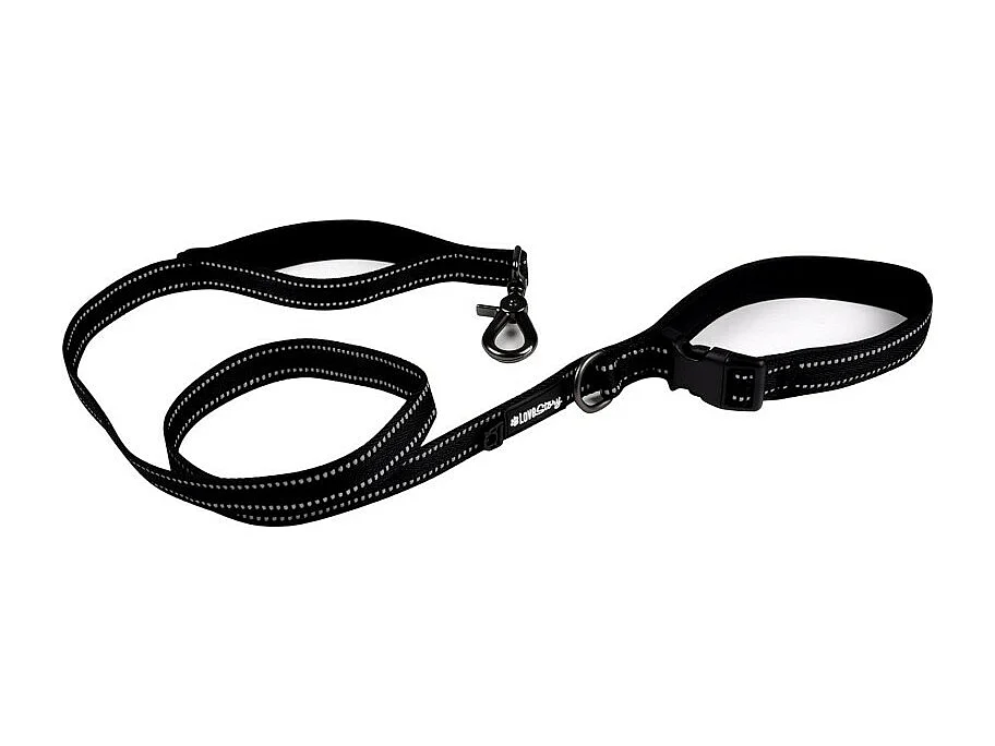 Laisse pour Chien "Double Poignées" 150cm Noir