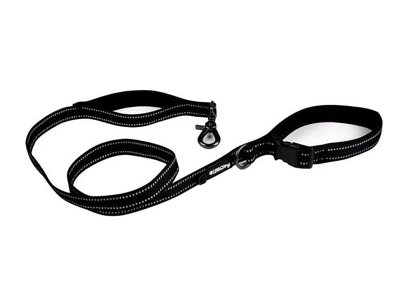 Laisse pour Chien "Double Poignées" 150cm Noir