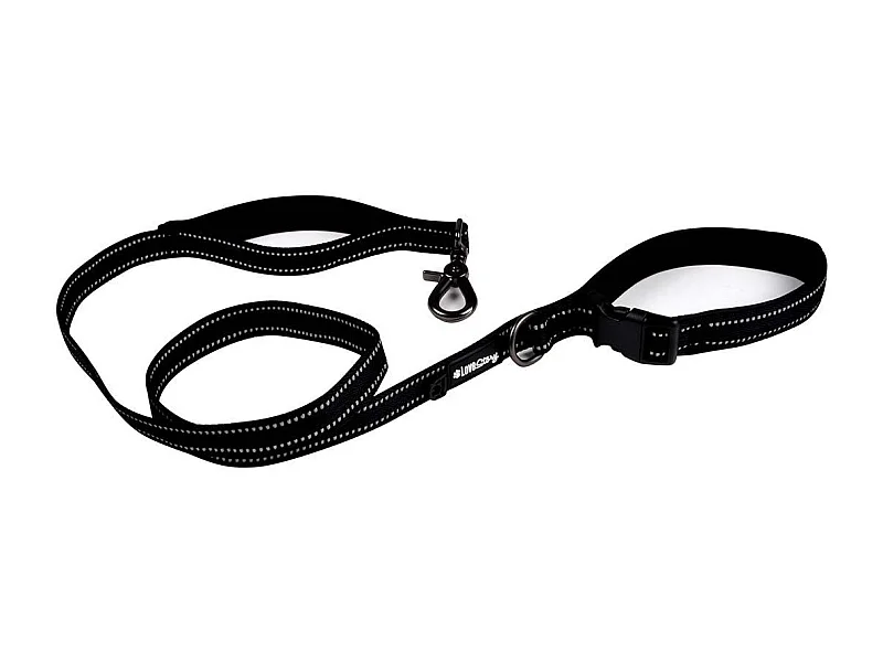 Laisse pour Chien "Double Poignées" 150cm Noir